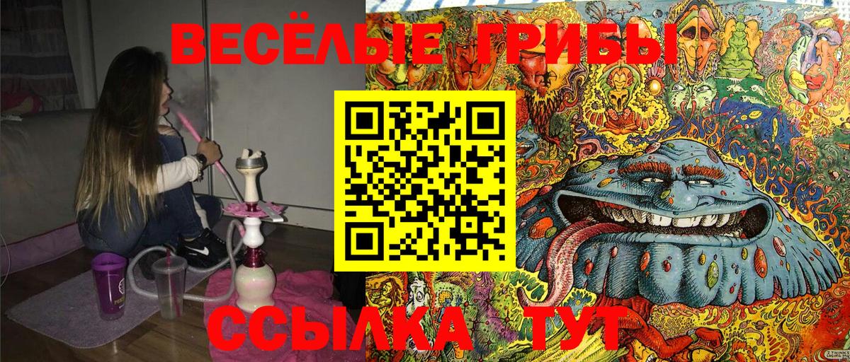 Галлюциногенные грибы Cubensis Жуковский